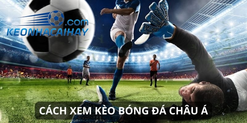 Cách đọc kèo chấp chuẩn không cần chỉnh