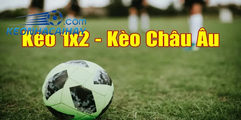 Kèo 1x2 phù hợp với tất cả người chơi cược bóng đá