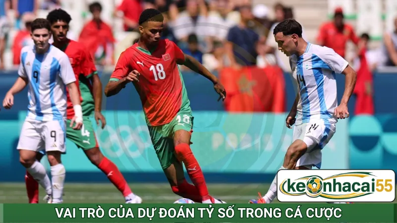 Vai trò của dự đoán tỷ số trong cá cược