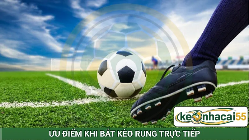Ưu điểm khi bắt kèo rung trực tiếp