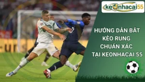 Hướng dẫn bắt kèo rung chuẩn xác tại keonhacai 55