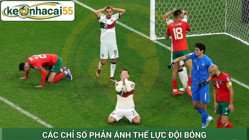 Các chỉ số phản ánh thể lực đội bóng