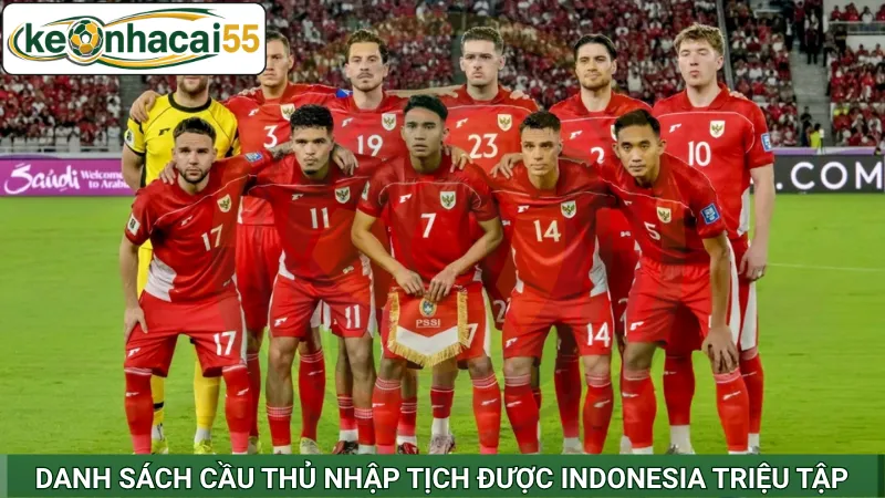 Danh sách cầu thủ nhập tịch được Indonesia triệu tập