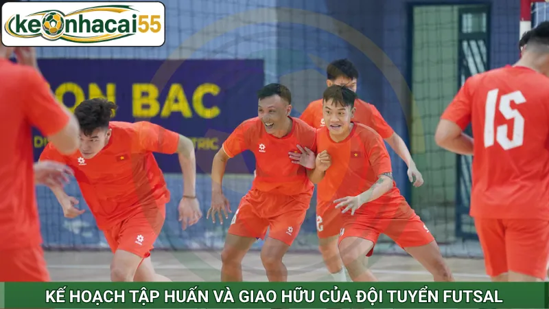 Kế hoạch tập huấn và giao hữu của đội tuyển Futsal
