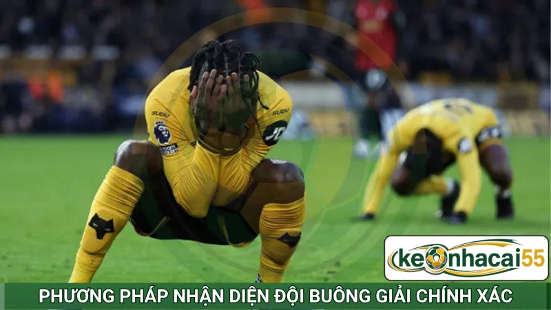 Phương pháp nhận diện đội buông giải chính xác