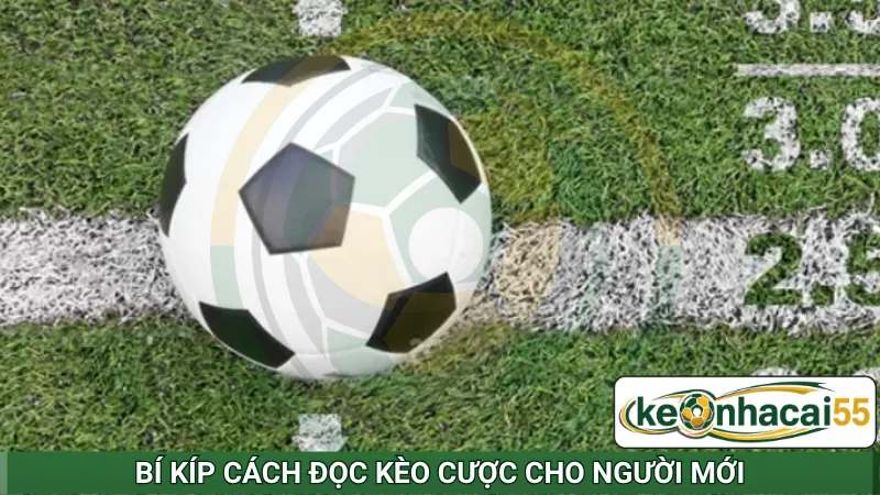 Bí kíp cách đọc kèo cược cho người mới