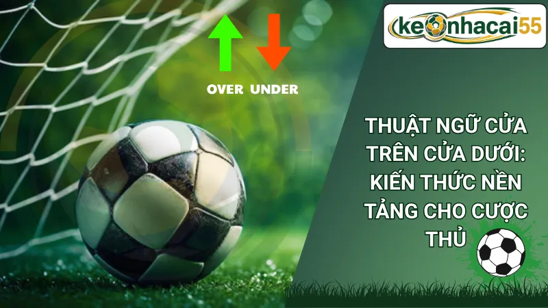 Thuật Ngữ Cửa Trên Cửa Dưới: Kiến Thức Nền Tảng Cho Cược Thủ