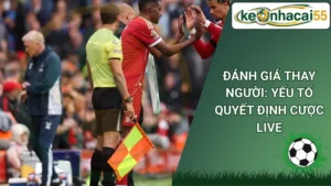 Đánh Giá Thay Người: Yếu Tố Quyết Định Cược Live